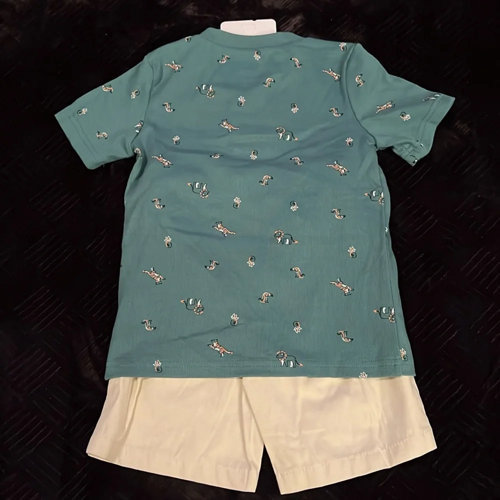Carter's 2 pc Shirt and Shorts Set. Toddler Boys 4T